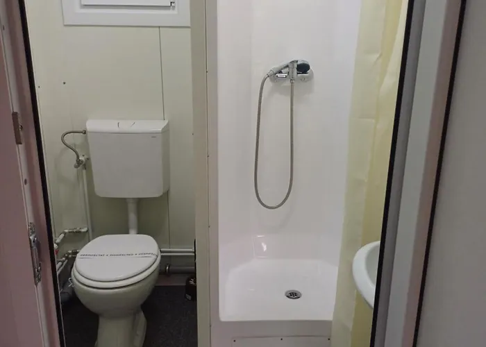 Monica Si Tibo Sfântu Gheorghe